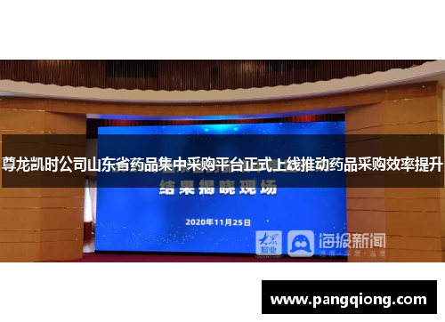 尊龙凯时公司山东省药品集中采购平台正式上线推动药品采购效率提升
